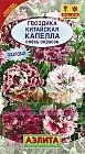 Семена. Гвоздика «Капелла китайская», махровая, смесь, 0,5 г