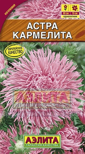 Семена. Астра «Кармелита», 0,2 г