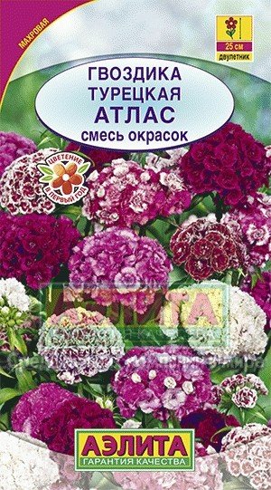 Семена. Гвоздика «Атлас», турецкая, смесь, 0,3 г | Двулетние цветы (Аэлита) | Аэлита