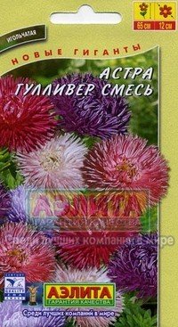 Семена. Астра «Гулливер», смесь, 0,2 г