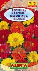 Семена. Георгина «Маркиза»