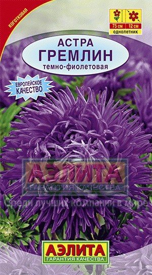 Семена. Астра «Гремлин» темно-фиолетовая, 0,2 г