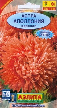 Семена. Астра «Аполлония красная», 0,2 г