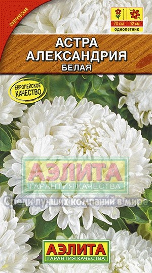 Семена. Астра «Александрия белая», 0,1 г