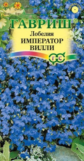 Семена. Лобелия «Император Вилли», 0,05 г