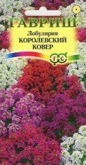 Семена. Лобулярия «Королевский ковер», 0,1 г