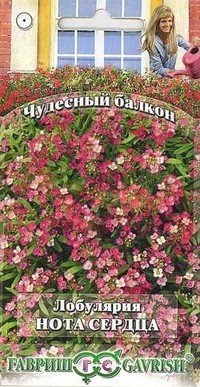 Семена. Лобулярия «Нота сердца»