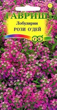 Семена. Лобулярия «Рози О'дей» 0,1г