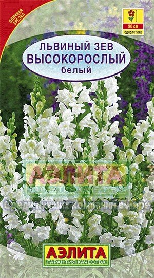 Семена. Львиный зев «Высокорослый белый», 0,1 г