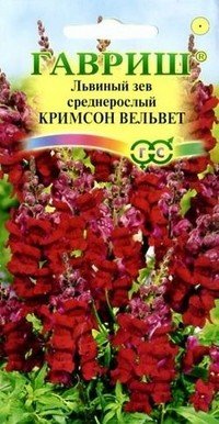 Семена. Львиный зев «Кримсон вельвет», 0,1 г