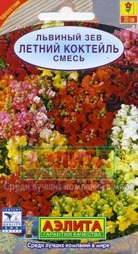 Семена. Львиный зев «Летний коктейль»