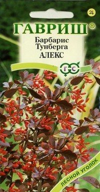 Семена. Барбарис «Тунберга Алекс»