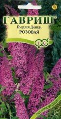 Семена. Буддлея «Давида»