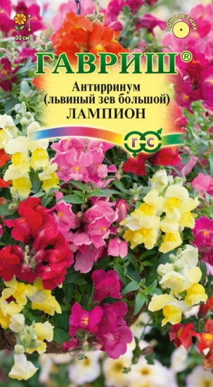 Семена. Львиный зев большой «Лампион», 5 шт