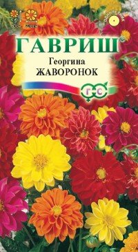 Семена. Георгина «Жаворонок», 0,3 г