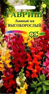Семена. Львиный зев «Высокорослый», 0,1 г