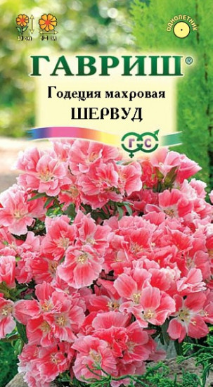 Семена. Годеция «Шервуд»