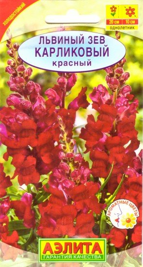 Семена. Львиный зев «Карликовый»
