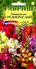 Семена. Львиный зев «Среднерослый», 0,1 г