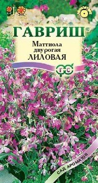 Семена. Маттиола двурогая «Лиловая», 0,5 г