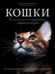 Кошки