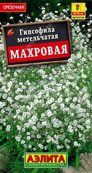 Семена. Гипсофила «Махровая»
