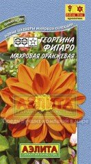 Семена. Георгин «Фигаро», оранжевый