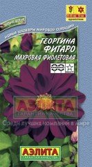 Семена. Георгин «Фигаро», фиолетовый