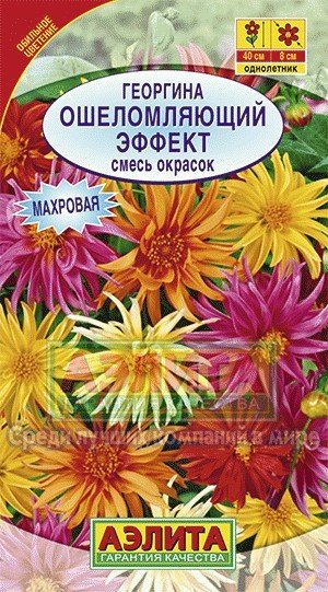 Семена. Георгина «Ошеломляющий эффект»