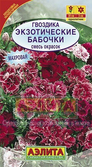 Семена. Гвоздика «Экзотические бабочки», 0,1 г