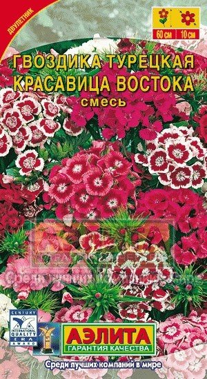Семена. Гвоздика «Красавица востока», турецкая, 0,3 г
