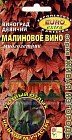 Семена. Виноград девичий «Малиновое вино»
