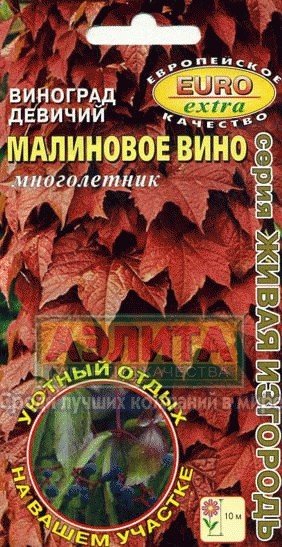 Семена. Виноград девичий «Малиновое вино» | Многолетние цветы (Аэлита) | Аэлита