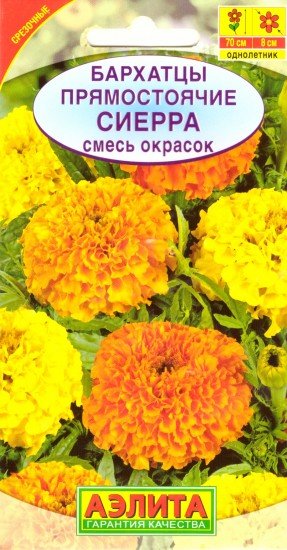 Семена. Бархатцы «Сиерра», 0,3 г