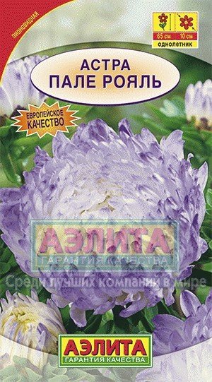 Семена. Астра «Пале рояль», 0,3 г