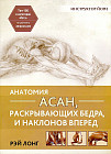 Анатомия асан, раскрывающих бедра, и наклонов вперед. Руководство