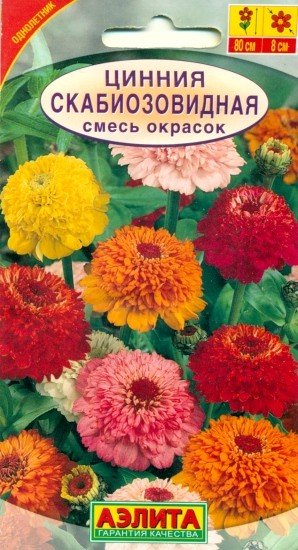 Семена. Цинния «Скабиозовидная», смесь, 0,3 г