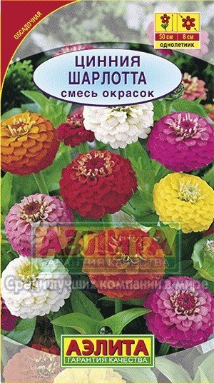 Семена. Цинния «Шарлотта», 0,3 г
