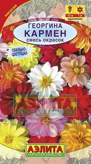 Семена. Георгина «Кармен», 10 шт
