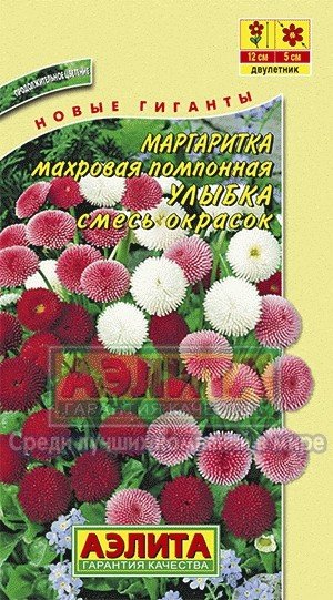 Семена. Маргаритка помпонная «Улыбка», смесь
