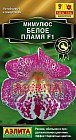Семена. Мииулюс «Белое пламя F1», 10 шт