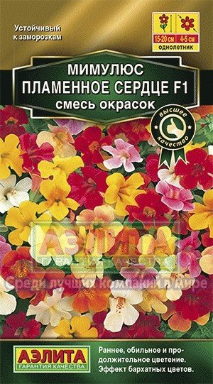 Семена. Мимулюс «пламенное сердце F1», смесь,10 шт