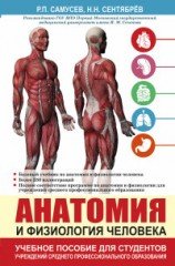 Анатомия и физиология человека