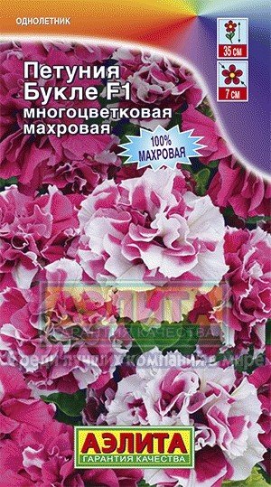 Семена. Петуния «Букле F1», 10 шт