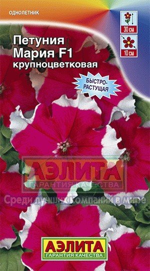 Семена. Петуния «Мария F1», 10 шт