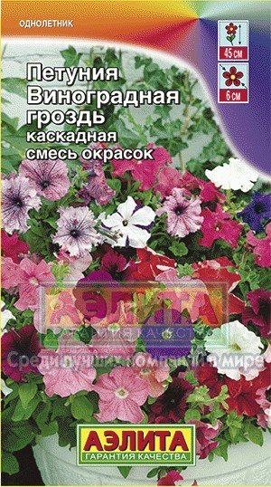 Семена. Петуния «Виноградная гроздь», смесь, 0,1 г | Однолетние цветы (Аэлита) | Аэлита