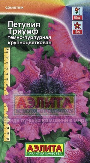 Семена. Петуния «Триумф», темно-пурпурная, 10 шт