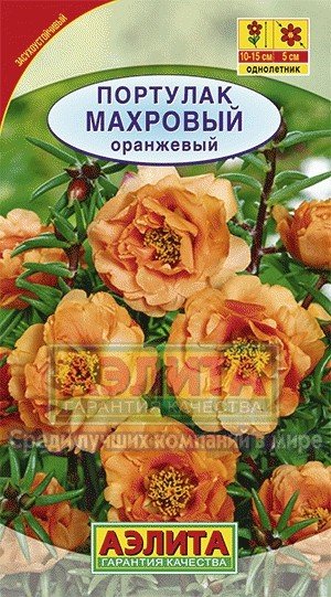 Семена. Портулак махровый «Оранжевый», 0,05 г