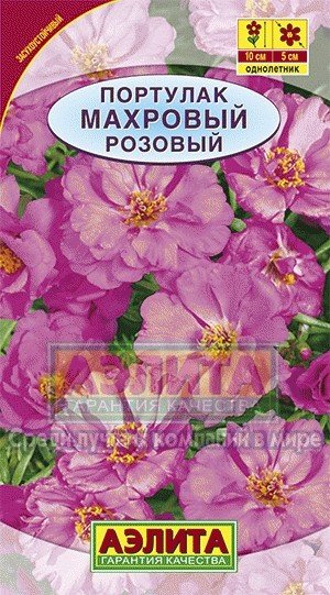 Семена. Портулак махровый «Розовый», 0,05 г