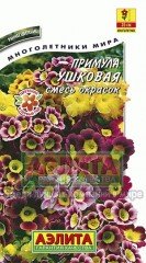 Семена. Примула «Ушковая», смесь окрасок, 0,02 г